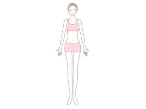 女性の体イラスト